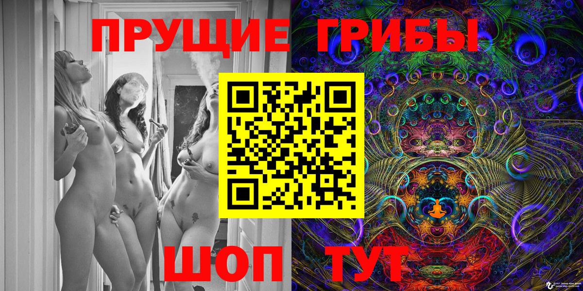 Галлюциногенные грибы Psilocybe Городец