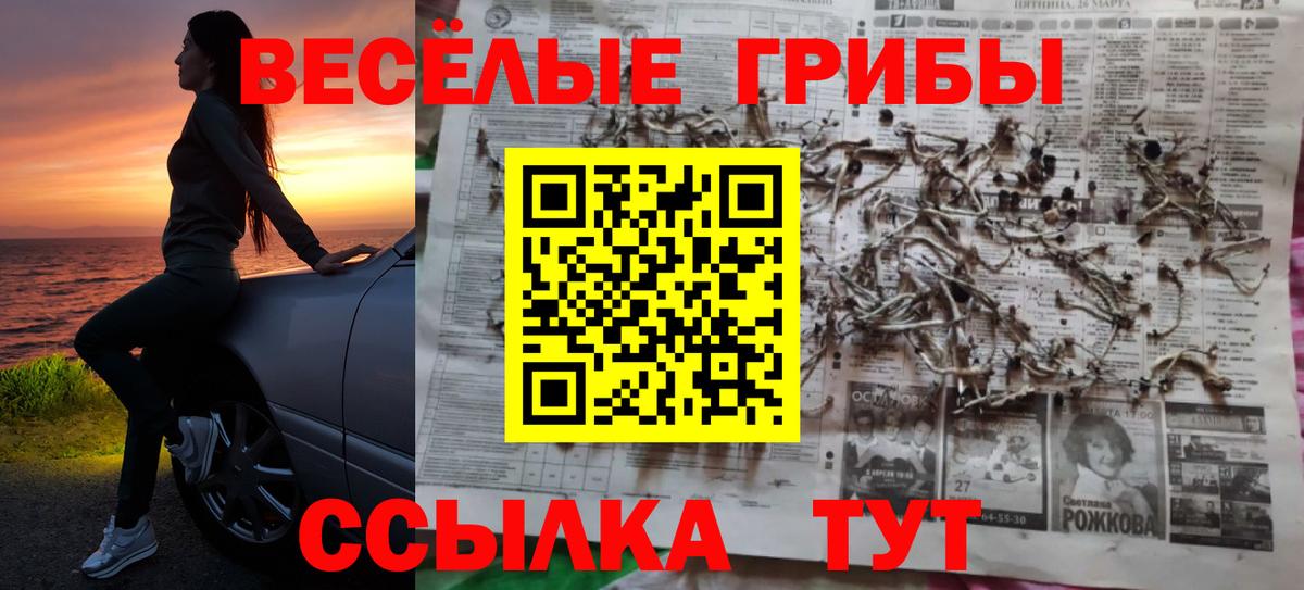 Галлюциногенные грибы Psilocybine cubensis  Вход с VPN  Городец  Псилоцибиновые грибы Cubensis 